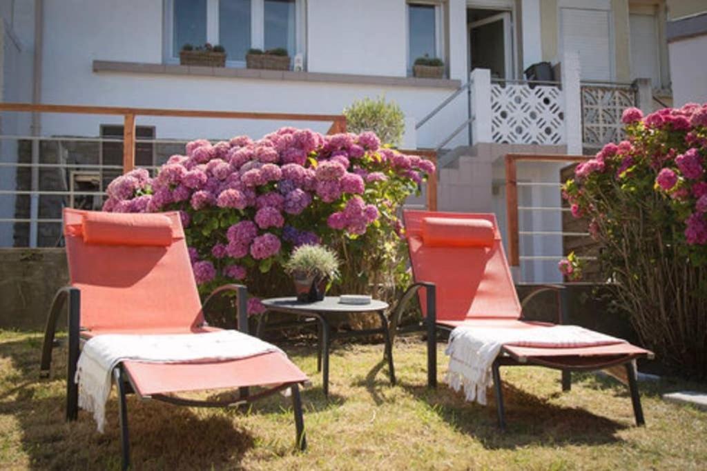 Tres Jolie Maison A Cote De La Plage Le Portel Exteriör bild